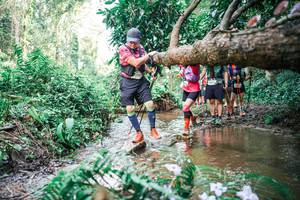 BIB: 
                            <button type="button" onclick="openModal(25517428)" class="btn btn-primary btn-sm float-right btn-popup" data-toggle="modal" data-target=".modal-high-quality">
                        <i class="fas fa-shopping-cart"></i> Add to Cart
                    </button>
                                            <button type="button" onclick="isThisMe(25517428, true)" class="btn btn-success btn-sm float-right btn-popup btn-isme hidden" data-toggle="tooltip" data-placement="bottom" title="นี่คือรูปของคุณใช่ไหม คลิกที่นี่เพื่อเอาเข้าอัลบั้ม">
                        <i class="fas fa-plus"></i> Add to album
                    </button>
                    <button type="button" onclick="isThisMe(25517428, false)" class="btn btn-warning btn-sm float-right btn-popup btn-isnotme hidden">
                        <i class="fas fa-ban"></i> Remove from album
                    </button>